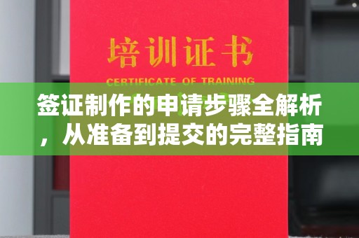 莞城签证制作的申请步骤全解析，从准备到提交的完整指南