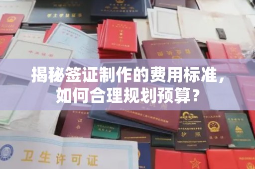 莞城揭秘签证制作的费用标准，如何合理规划预算？