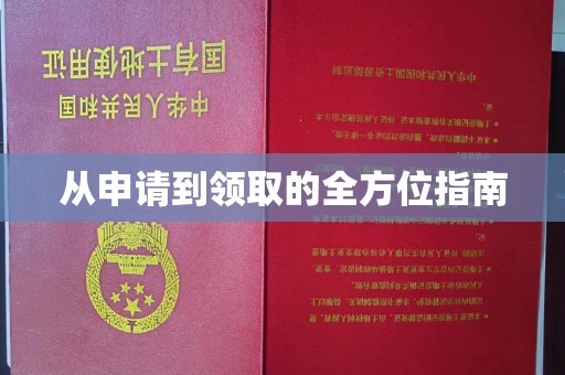 莞城从申请到领取的全方位指南