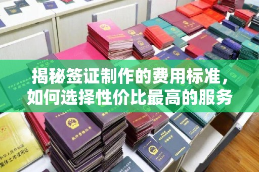 莞城揭秘签证制作的费用标准，如何选择性价比最高的服务？