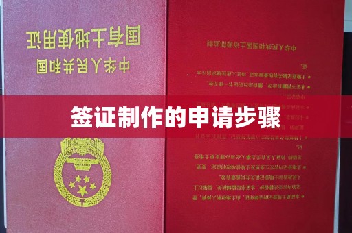 莞城签证制作的申请步骤