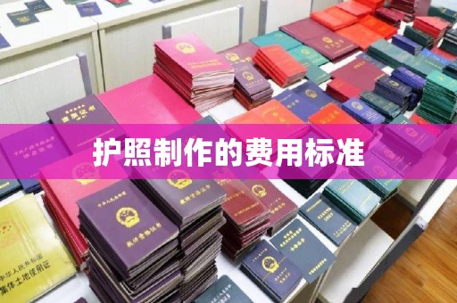 莞城护照制作的费用标准