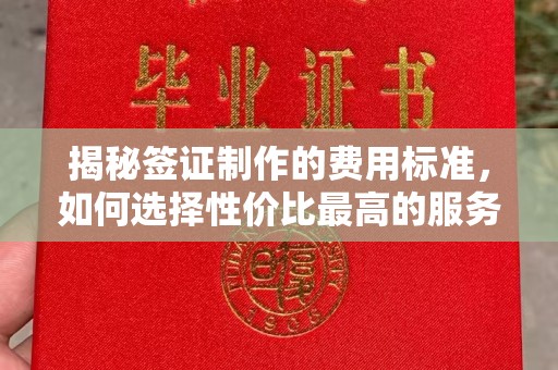 莞城揭秘签证制作的费用标准，如何选择性价比最高的服务？