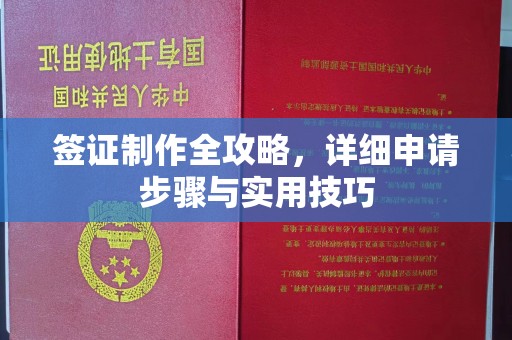 莞城签证制作全攻略，详细申请步骤与实用技巧