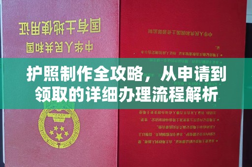 莞城护照制作全攻略，从申请到领取的详细办理流程解析