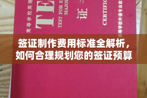 莞城签证制作费用标准全解析，如何合理规划您的签证预算？